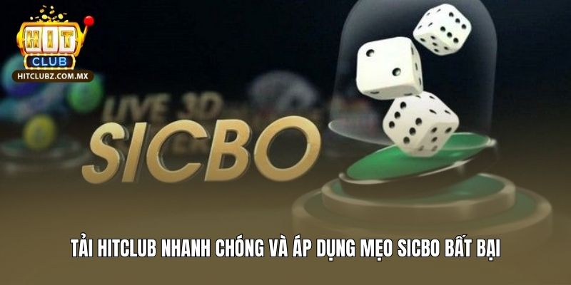Tải Hitclub Nhanh Chóng Và Áp Dụng Mẹo Sicbo Hitclub Bất Bại
