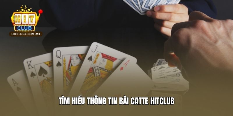 Tìm hiểu thông tin Bài Catte Hitclub